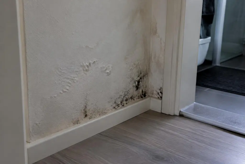 Lekdetectie Dronten – vochtplek met schimmel op een muur